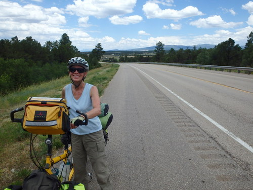 GDMBR: Terry held the bike while I (Dennis) visited a tree.